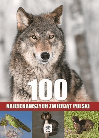 100 najciekawszych zwierząt Polski - Łukasz Przybyłowicz, Anna Przybyłowicz