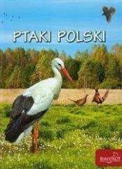 Ptaki Polski - Elżbieta Zarych