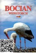 Bocian /weissstorch/