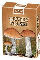 Grzyby Polski