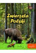 Zwierzęta Polski BIAŁY KOT