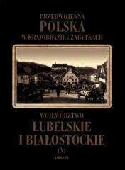 Województwo lubelskie i białostockie Tom 10 - Władysław Woydyno