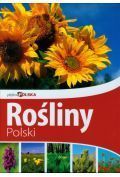 Piękna Polska. Rośliny Polski