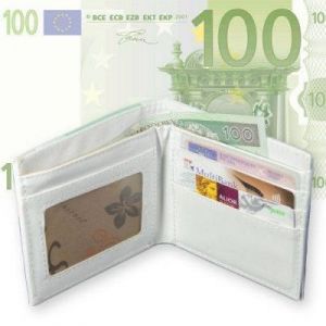 Portfel 100 Euro