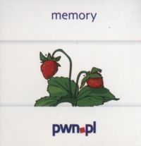 Memory Logopedia